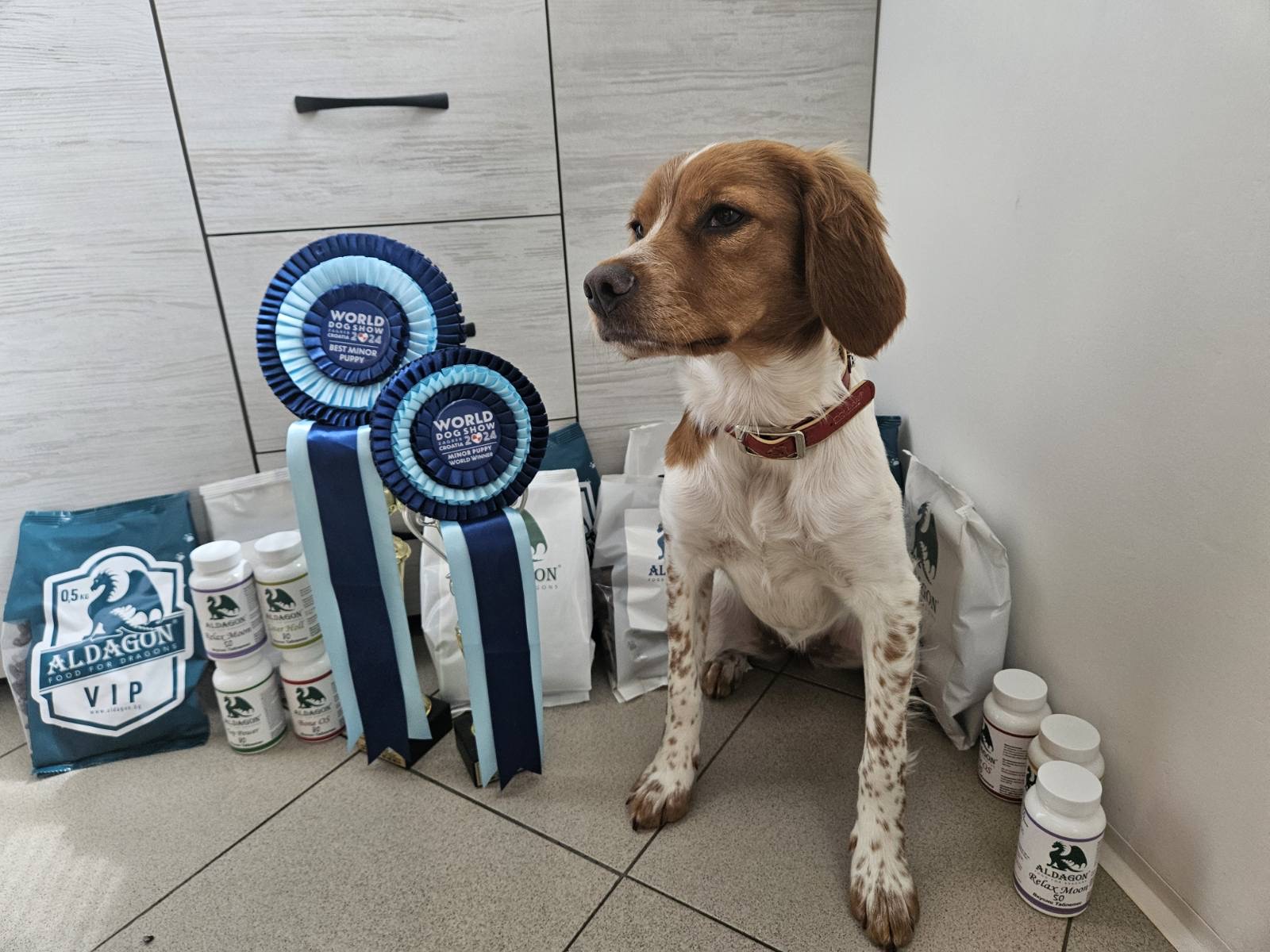 Daika – Baby World Winner 2024